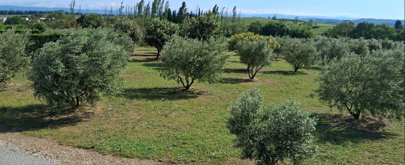 PEZENS Superbe terrain de loisir avec Hangar 3