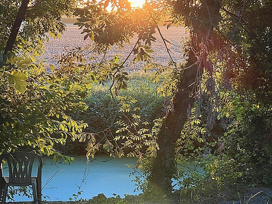 TAUGON Longère charentaise rénovée - 144 m² - 3 chambres - Piscine - Terrain 1000 m² - Bord de conche 4