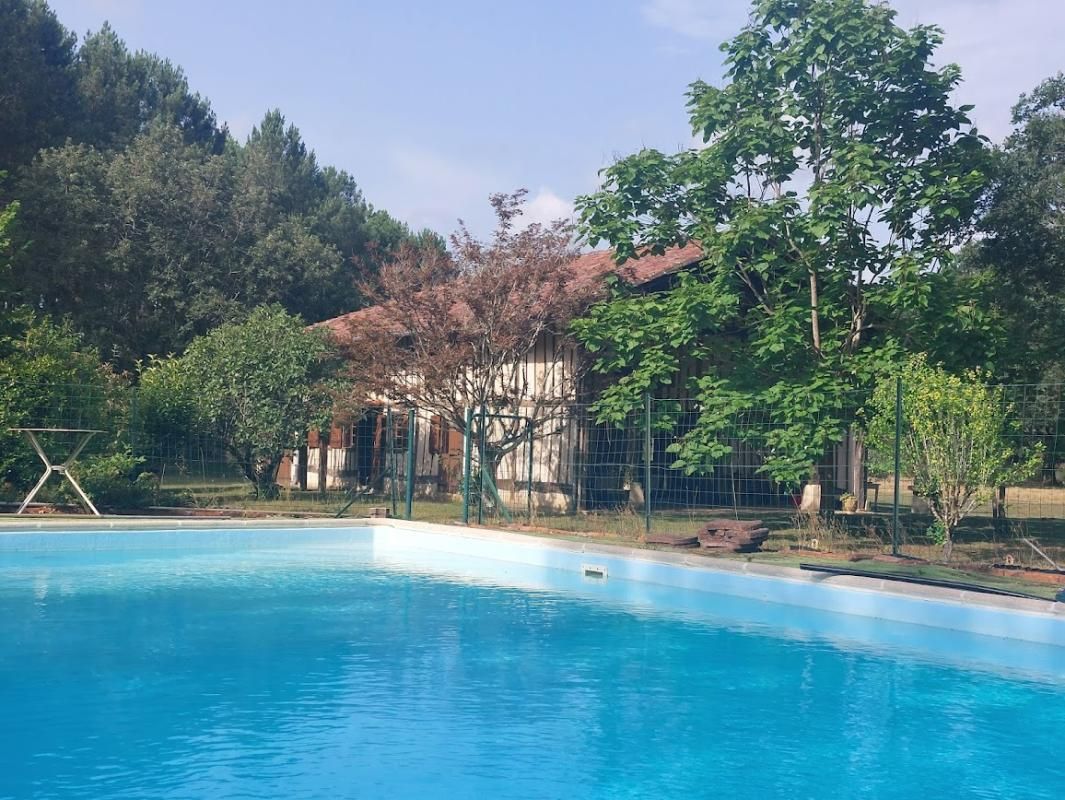 AZUR Maison Landaise entre pins et Océan 3