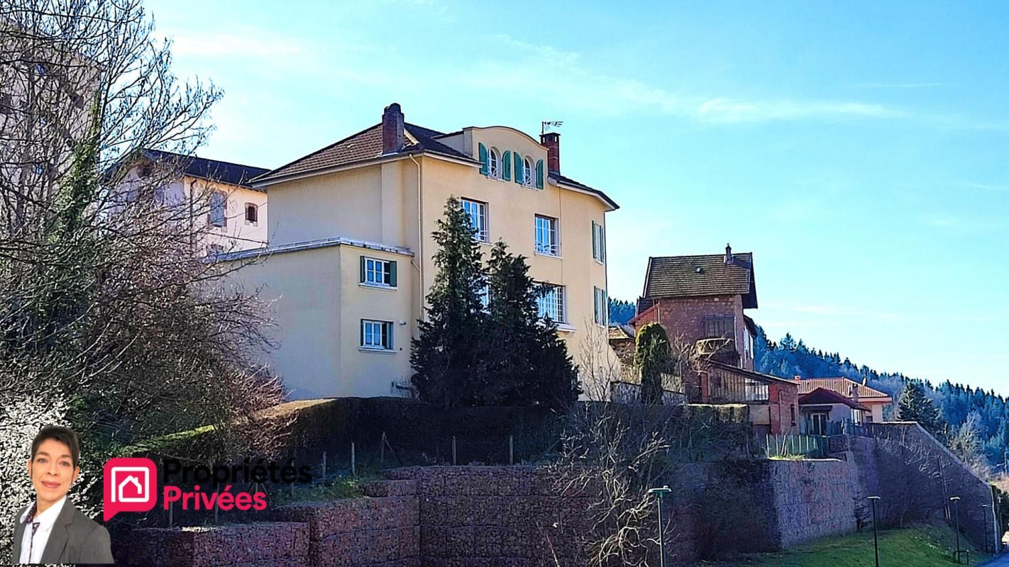 THIZY THIZY-LES-BOURGS (69240) Maison de bourg  320 m² , jardin, dépendances et garage 1