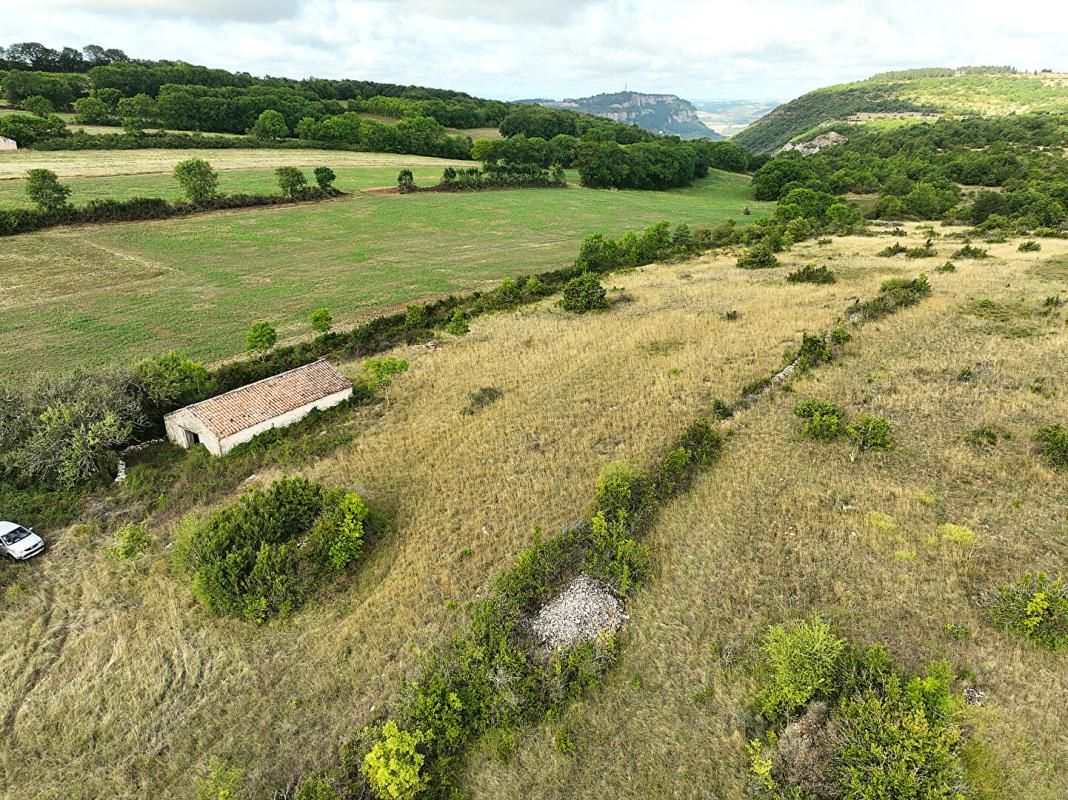 TOURNEMIRE Terrain agricole de 2,3 hectares avec grange - Cadre naturel 2