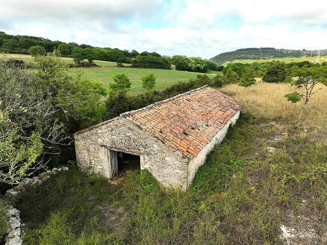 TOURNEMIRE Terrain agricole de 2,3 hectares avec grange - Cadre naturel 3