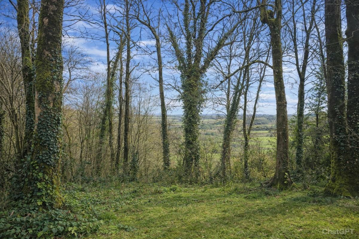 COLLINEE Maison Le Mene Bel environnement 3