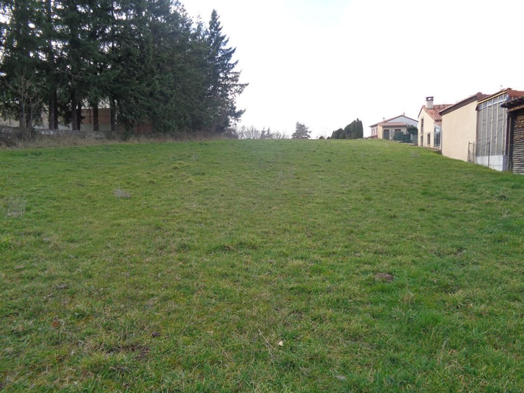 SANSSAC-L'EGLISE Sanssac L'Eglise(43), terrain constructible de 3.488 m2 2