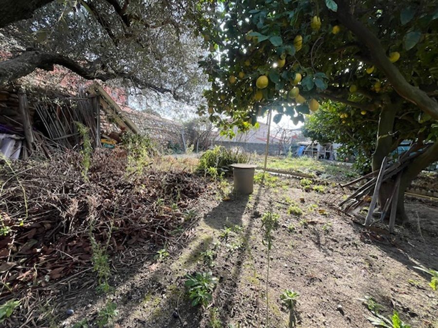 CANOHES Charmante maison familiale de 230 m² avec double garage et jardin sur un terrain deux faces 3