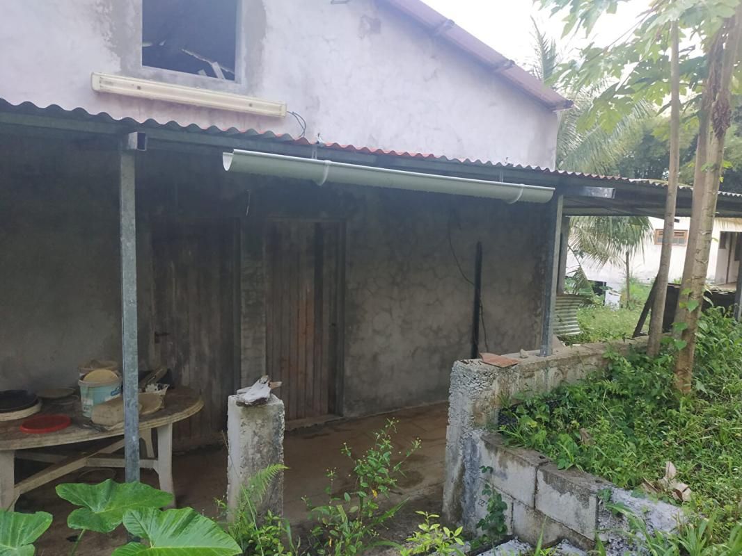 GROS-MORNE lot de  2 maisons en construction a vendre au gros-morne 3