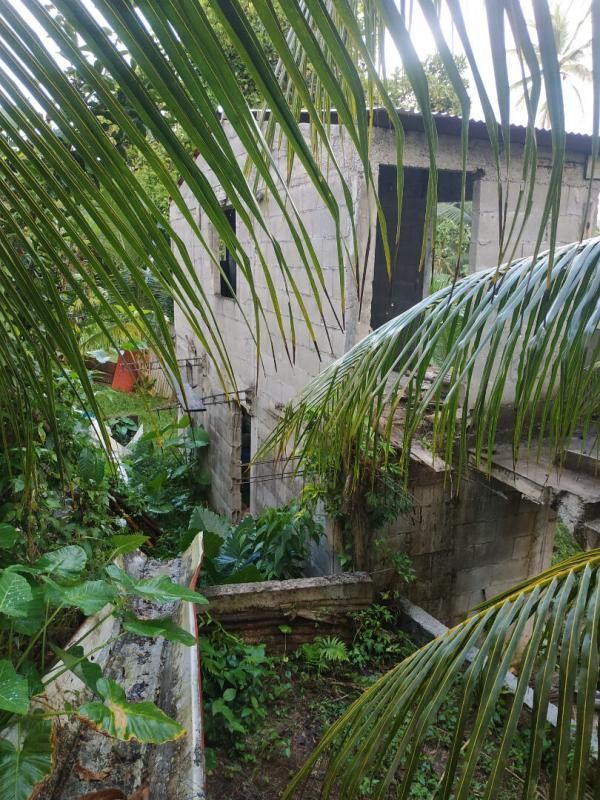 GROS-MORNE lot de  2 maisons en construction a vendre au gros-morne 4