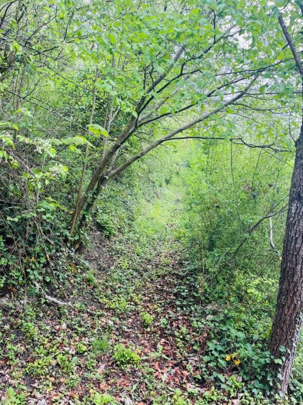 MANNEVILLE-SUR-RISLE Maison du XIXème 3