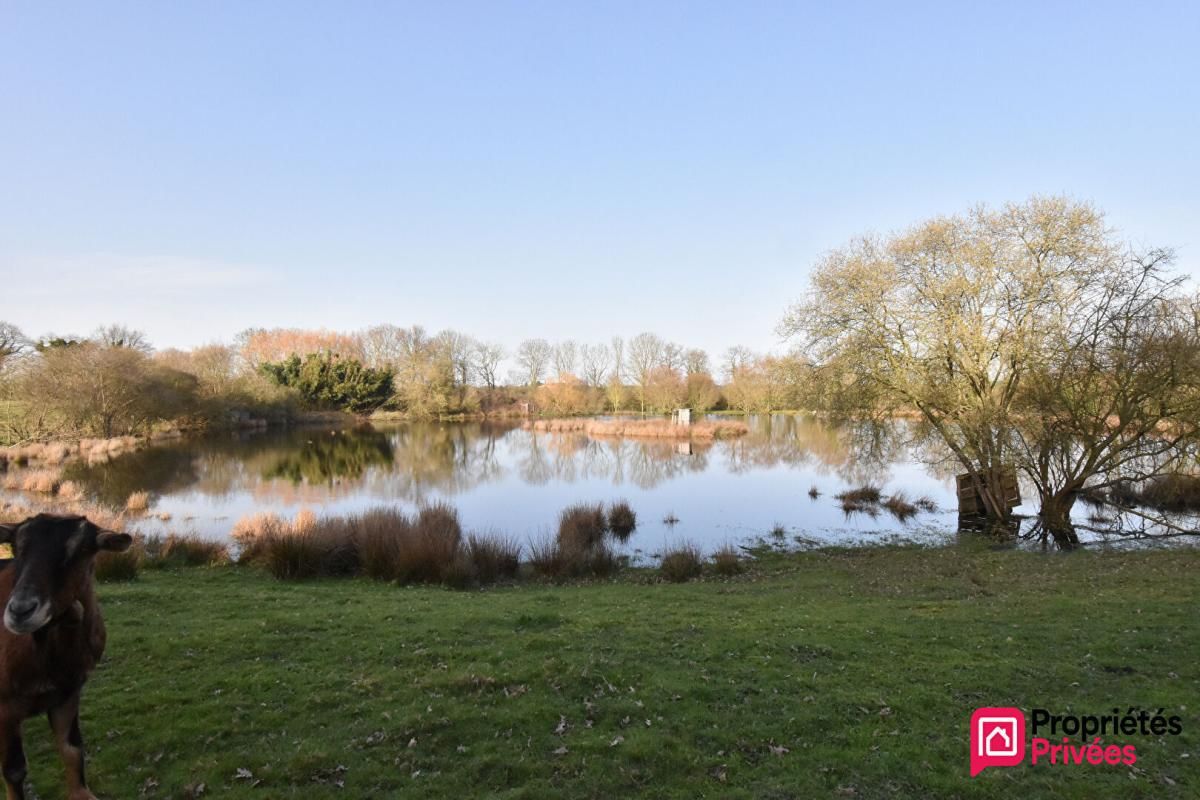 LA TESSOUALLE Terrain de loisirs La Tessoualle 41945 m2 4