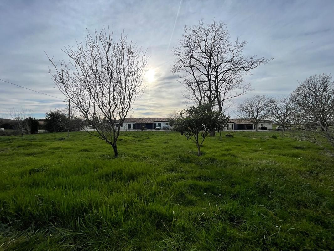 MONTJOIRE Terrain Montjoire 2252 m2 2