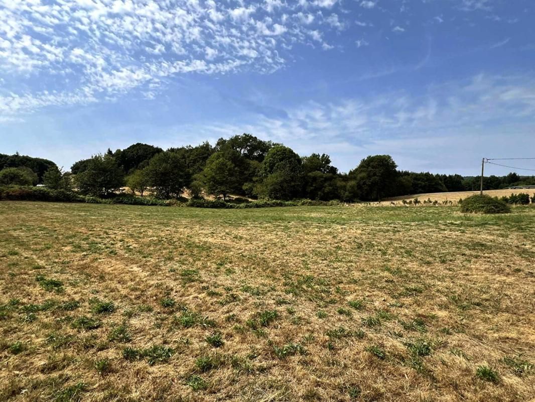 LA COQUILLE Terrain La Coquille 6755 m2 2