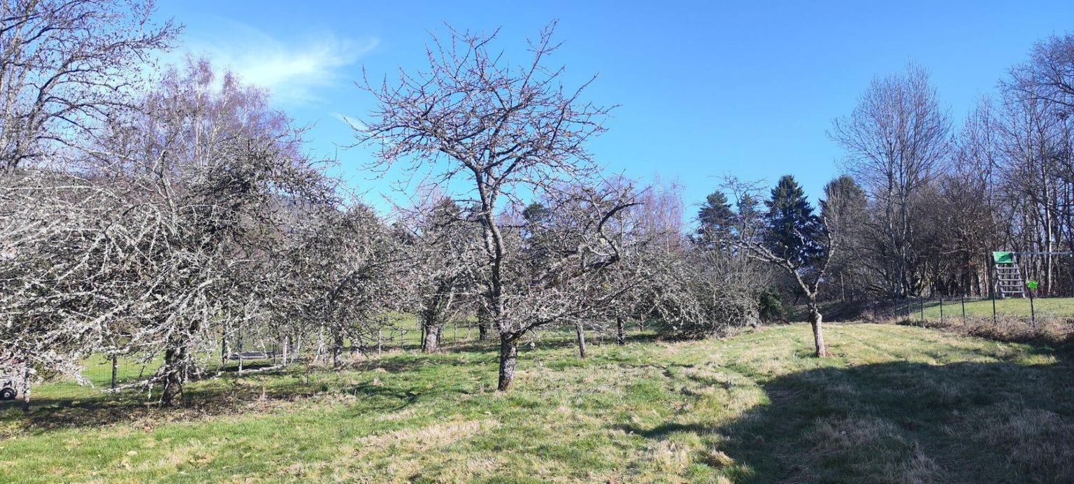 ROUGEMONT-LE-CHATEAU Rougemont Le Château : Terrain constructible 2720 m2 1