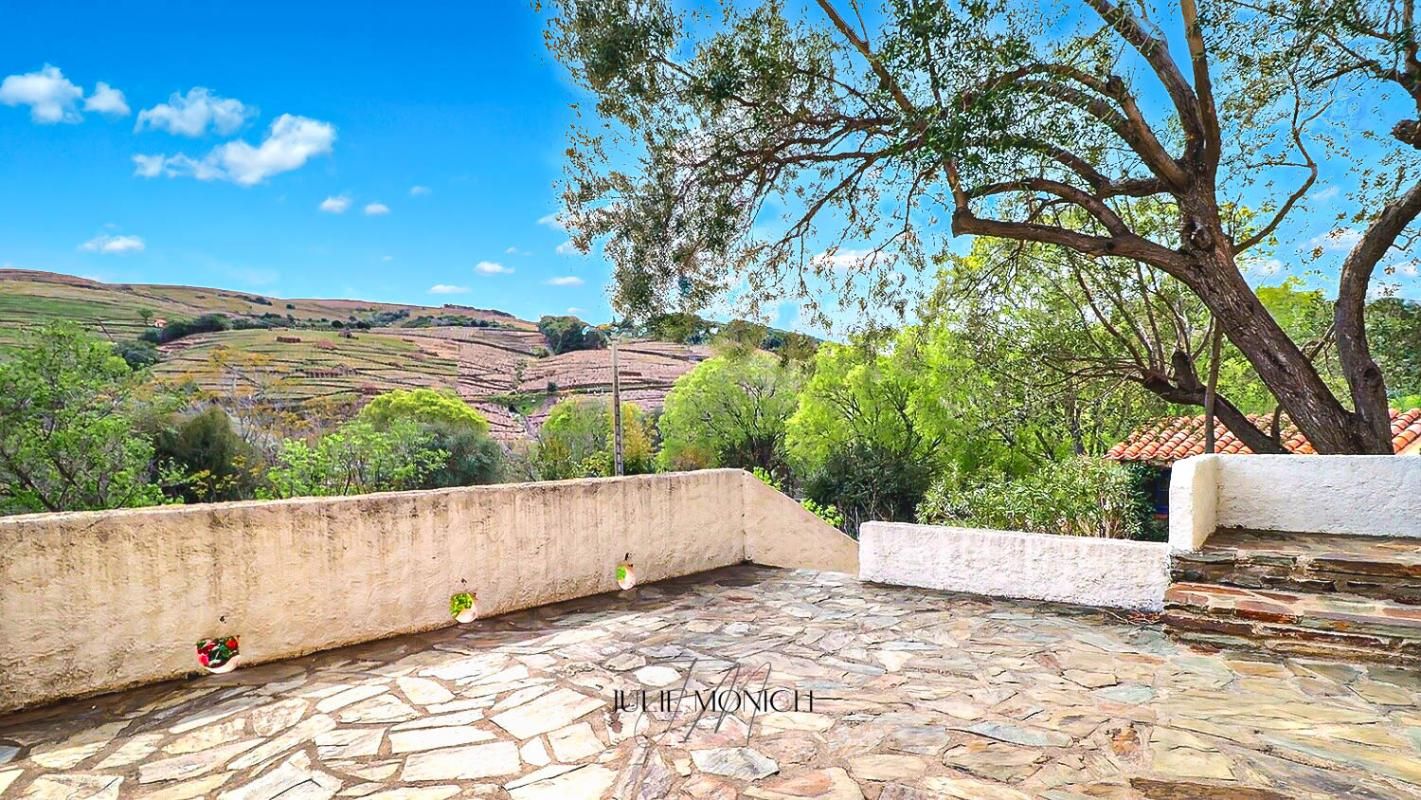 BANYULS-SUR-MER Maison 3 faces avec vue dégagée, jardin, garage 2