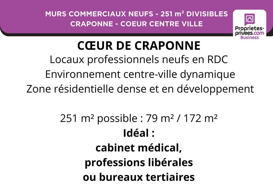 CRAPONNE MURS PROFESSIONNELS 250 m² - CRAPONNE - COEUR CENTRE 3