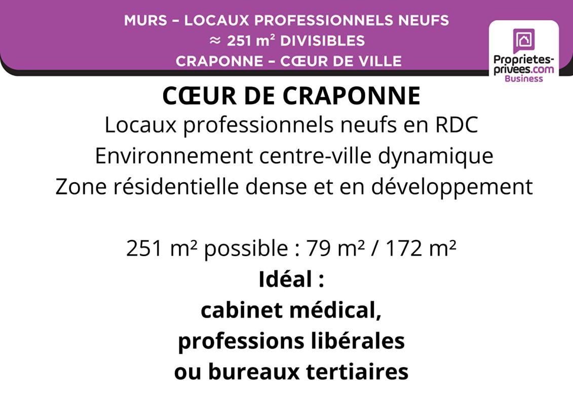 CRAPONNE MURS ? LOCAUX PROFESSIONNELS 251 m² CRAPONNE ? C?UR DE CENTRE 3