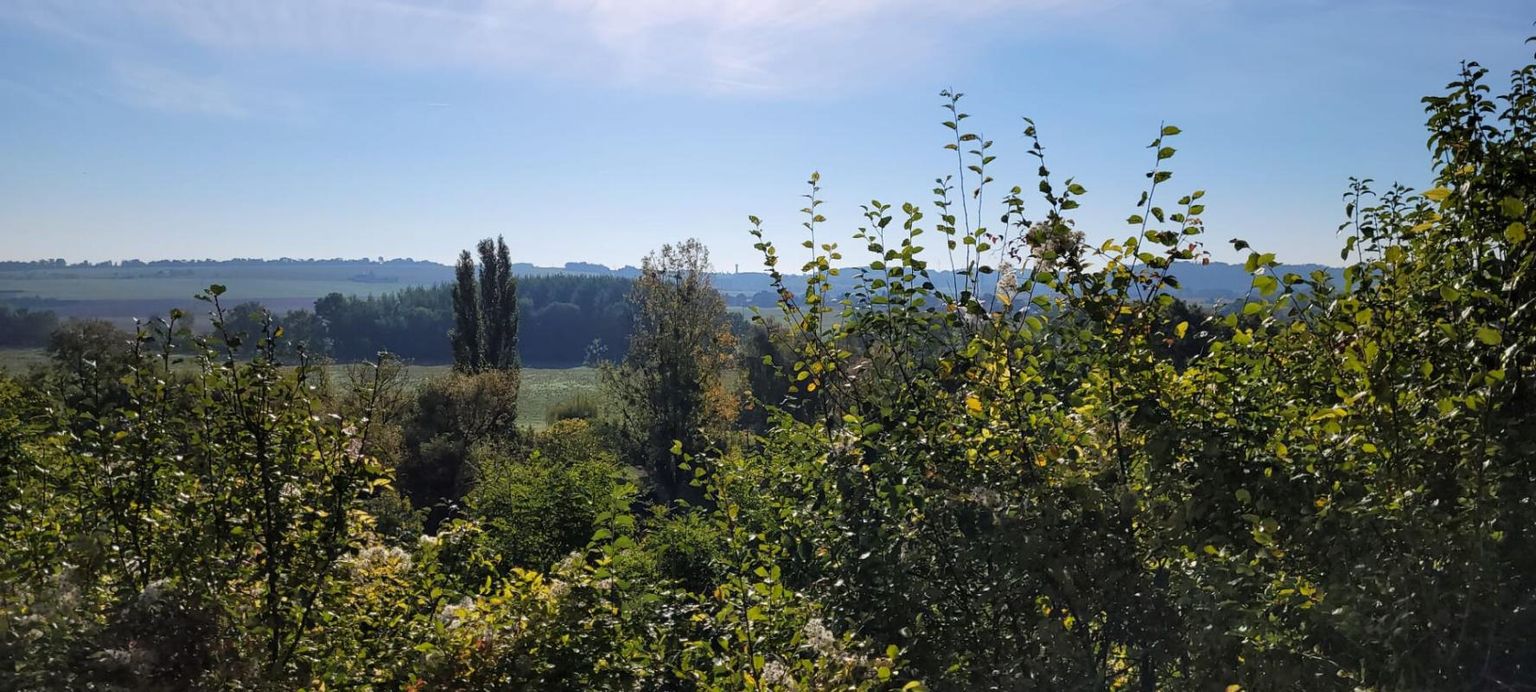 LES ROCHES-L'EVEQUE MAISON TROGLODYTIQUE AVEC CAVES ET TERRAINS 4