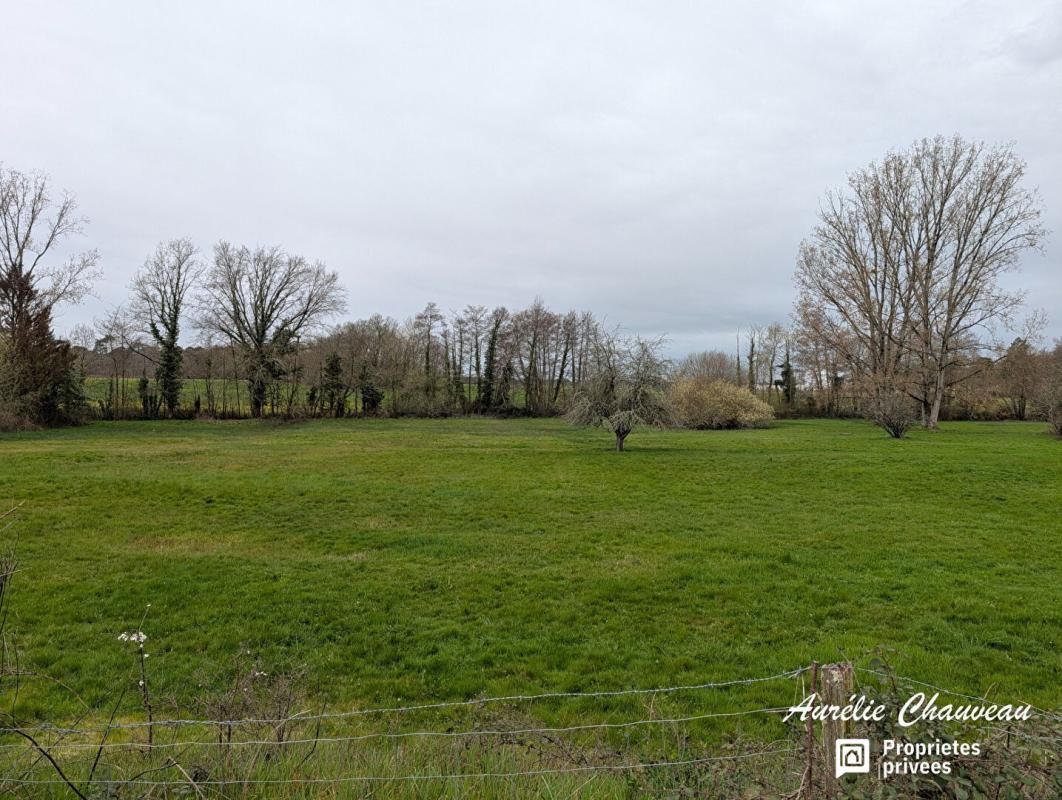 MUSSIDAN Terrain  à  batir de 2500 m2 environ entre Bergerac et Périgueux 2