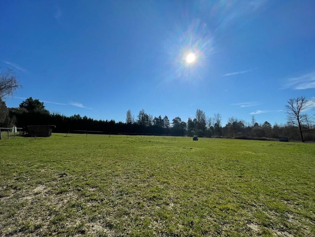 VITRY-AUX-LOGES Exclusivité - Propriété équestre au coeur de la forêt d'Orléans avec piscine, plan d'eau, prairies et bois sur 6 hectares 7 à Vitry Aux Loges 2