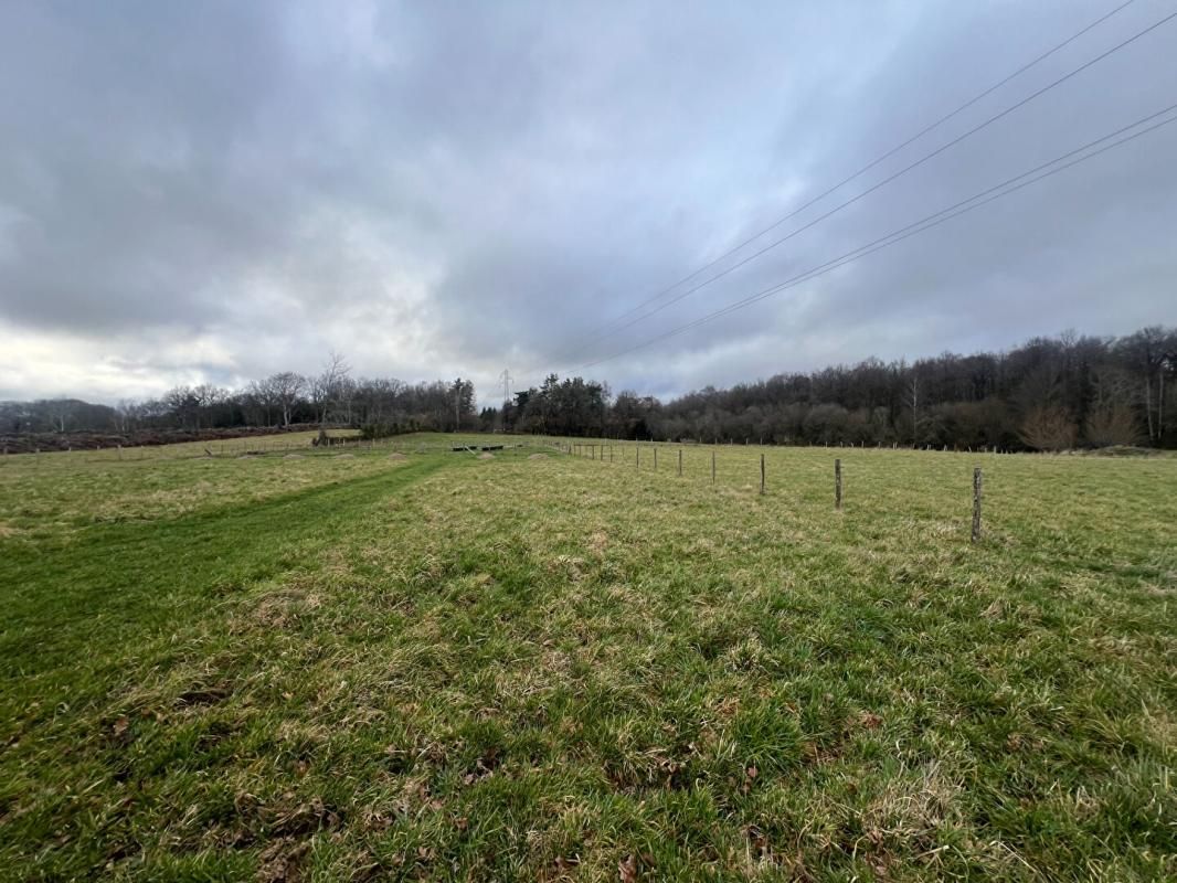 SAINT-GEORGES-DE-MONS Terrain Saint Georges De Mons 2618 m2 2