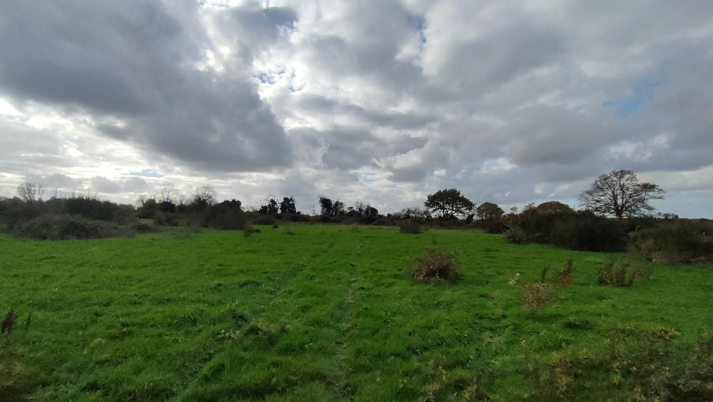 CHAMBRETAUD Terrain Chambretaud 104600 m2 2