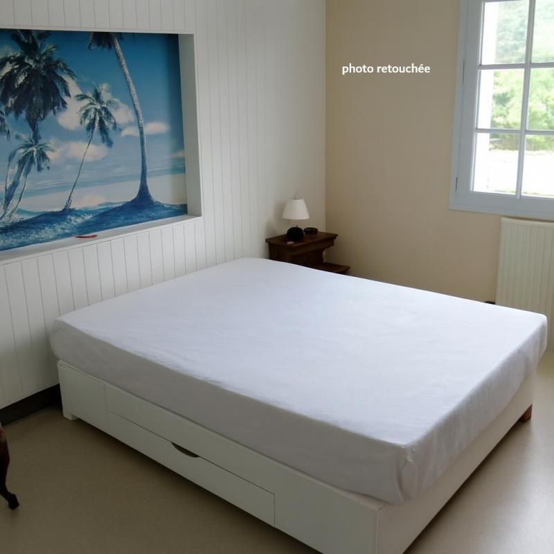 MEDIS Spacieuse maison de 150m² sur un vaste terrain de 1216 m², idéale pour des projets d'extension  578 000 FAI 4