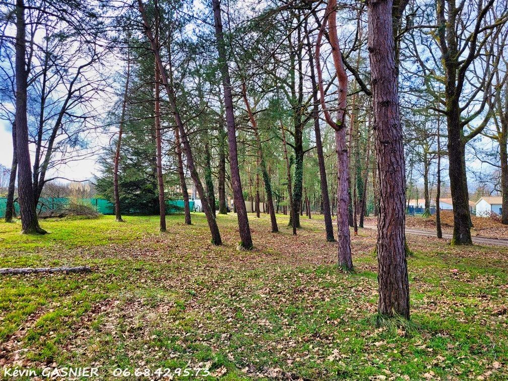 DIRAC DIRAC (16410) : Terrain constructible de 1043m2 a viabiliser 2