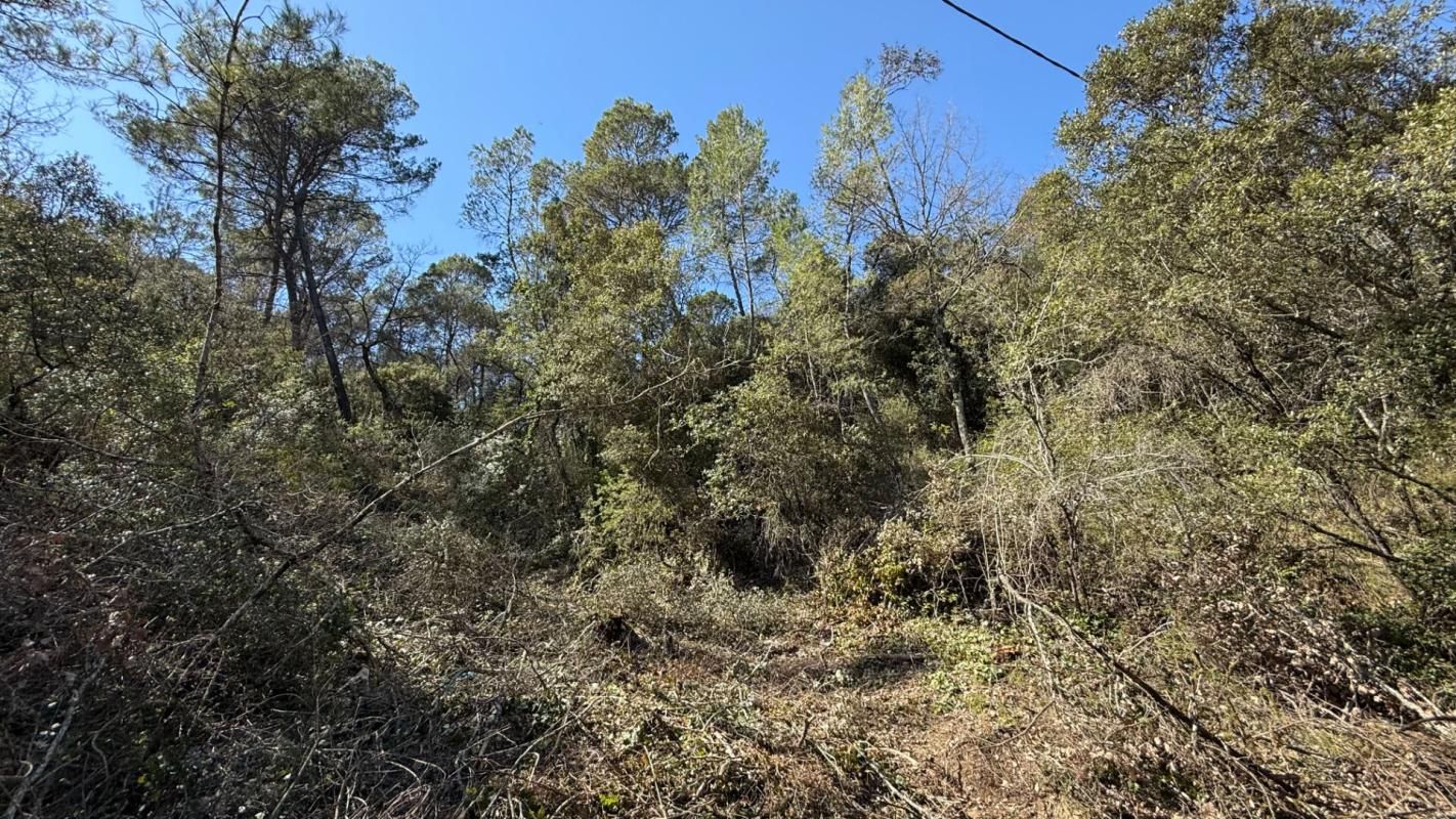 ENTRECASTEAUX Terrain forestier 5220m² Entrecasteaux 2