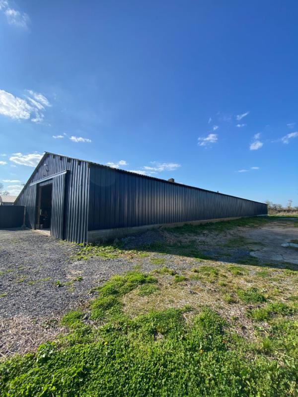 LONGUEVILLE Maison Longueville 4 pièce(s) 108 m2 4