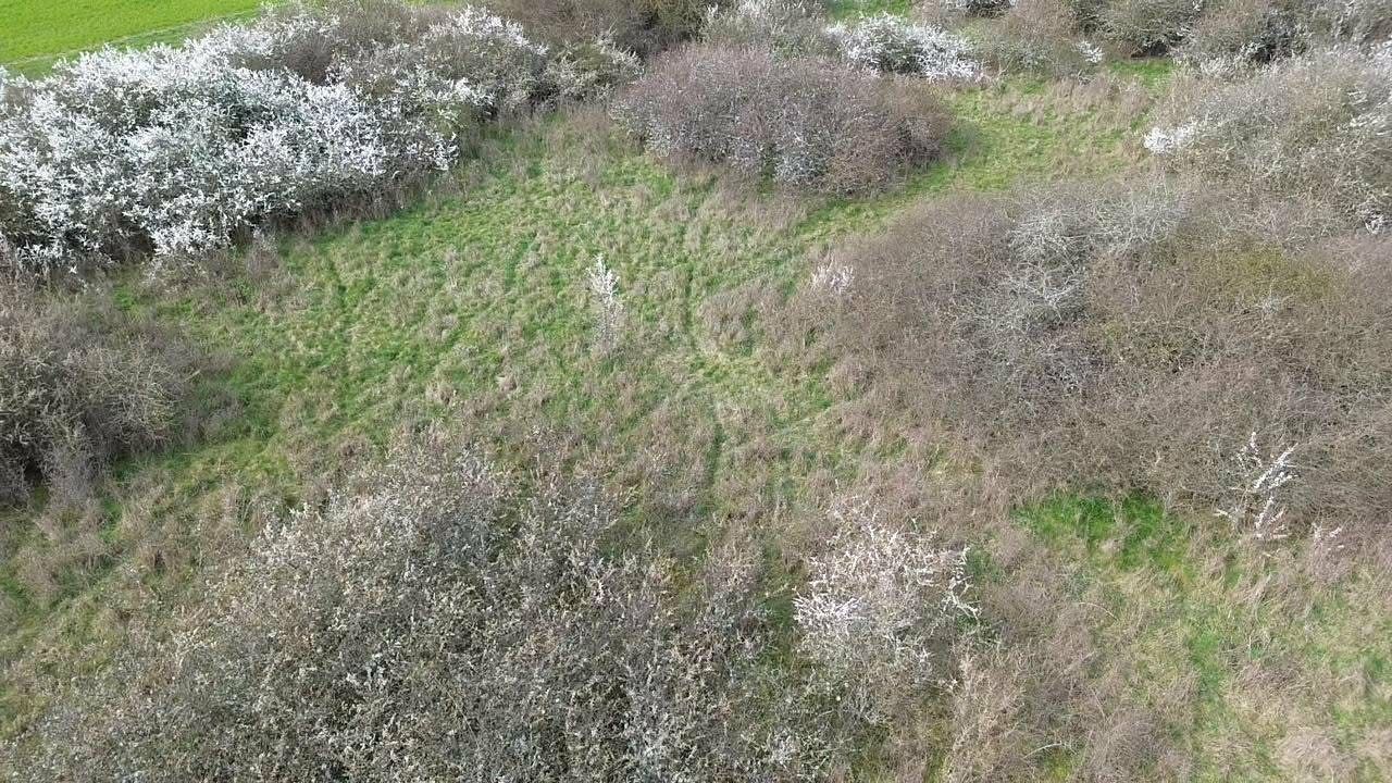 NEUILLY Terrain de loisirs 2 hectares 3