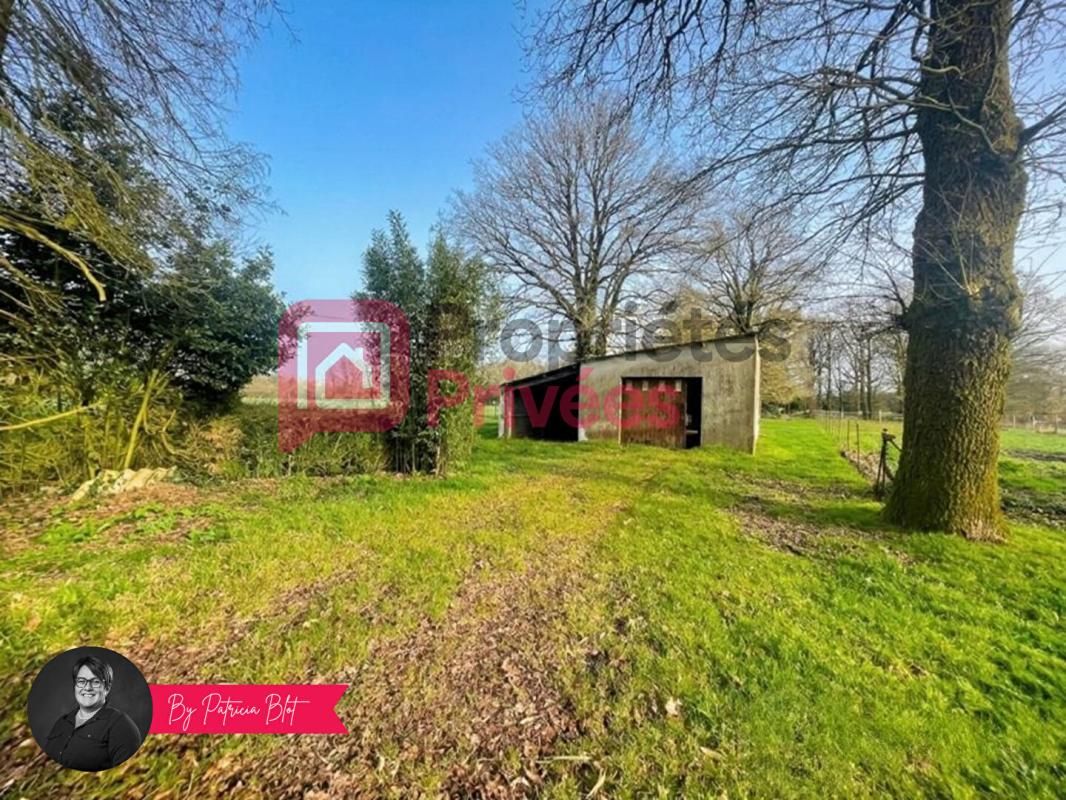 MALANSAC Maison de plain-pied avec plus d'1,6 hectare de nature  - Campagne de Malansac 3