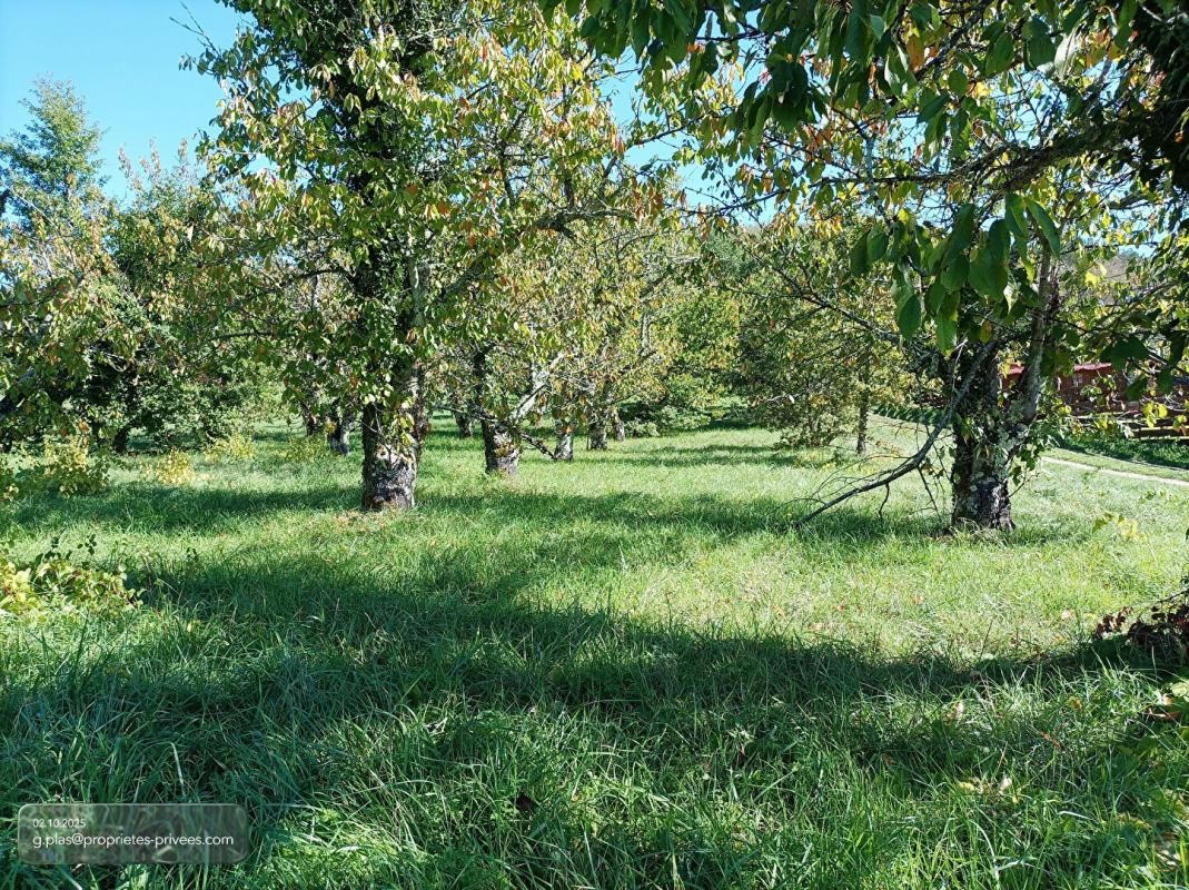 SAINT-VINCENT-RIVE-D'OLT LUZECH .Terrain constructible à vendre 3