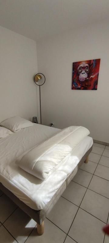 MONTPELLIER Exclusivité - Montpellier - Voltaire - Grand appartement deux pièces avec terrasse et garage 3