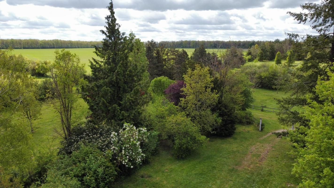 PRESSIGNY-LES-PINS DOMAINE ISOLÉ de 10 Hectares au MILIEU DES CHAMPS - 1h30 de PARIS , PARFAIT POUR ELEVAGE, PERMACULTURE OU SIMPLEMENT VIVRE EN PLEINE NATURE ! 2