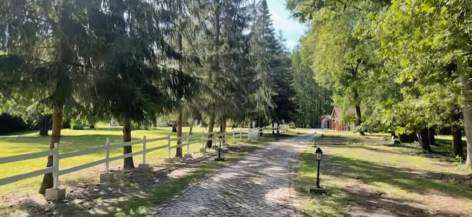 SULLY-SUR-LOIRE PROPRIETE SUR 2.7 HECTARES 3