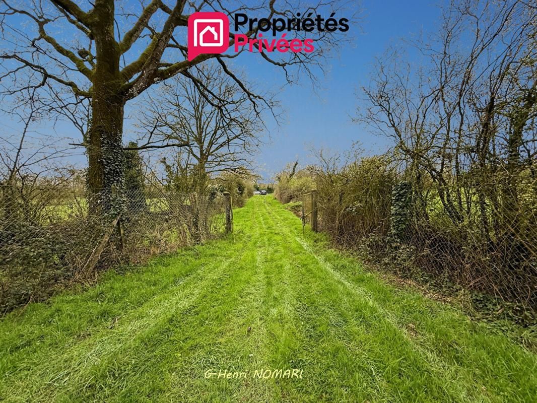 MARTIGNE-FERCHAUD Etang Martigne Ferchaud 5550 m2 - Terrain de 12340 - 3