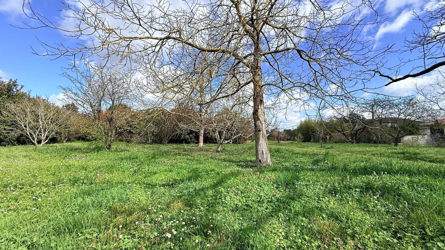 VILLAUDRIC À vendre Terrain à bâtir de 1000 m2 à Villaudric - 31620 3