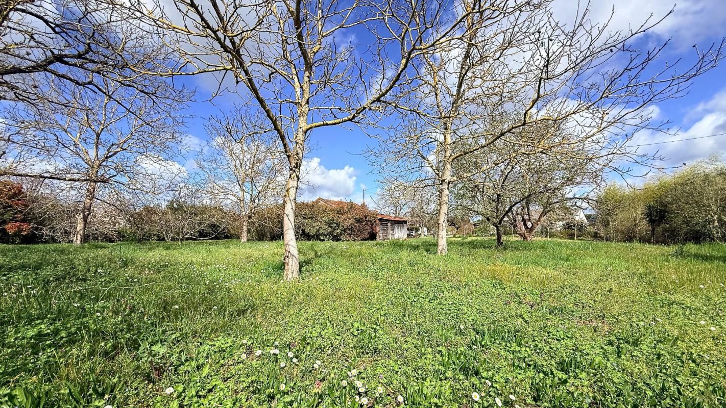 VILLAUDRIC À vendre Terrain à bâtir de 1000 m2 à Villaudric - 31620 4