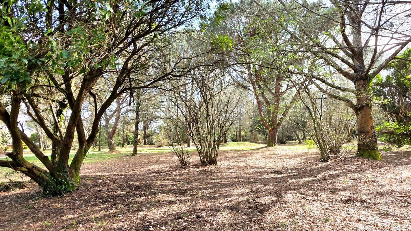 LE PIAN-MEDOC Maison Le Pian Medoc 4 pièce(s) 115 m2 3