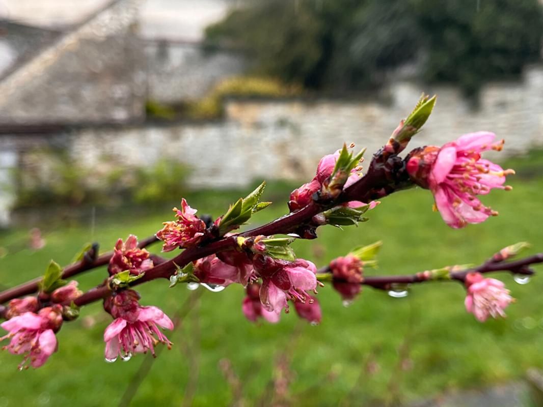 VIGNY Maison fonctionnelle des années 60 1