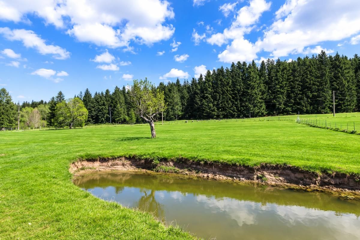 SAINT-PIERRE-LA-BOURLHONNE Maison Saint Pierre La Bourlhonne 7 pièce(s) 150 m2 environs et 1ha de terrain 3