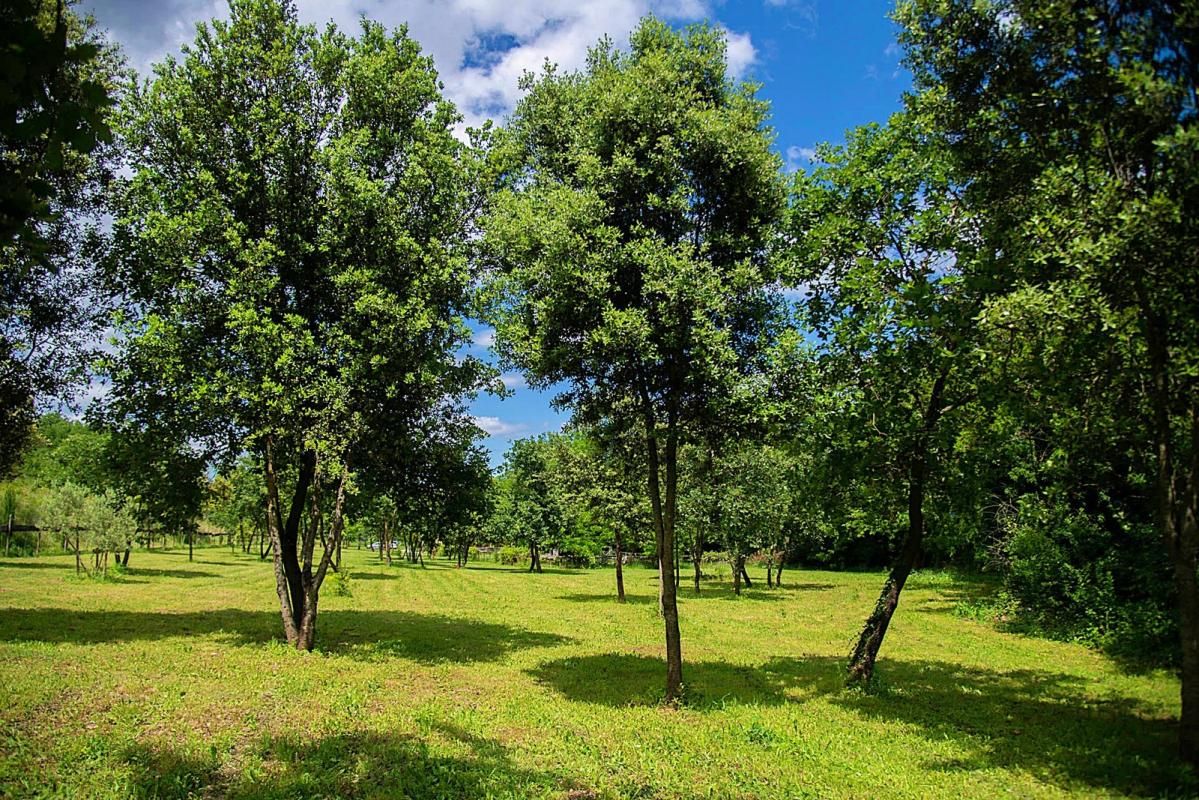 UZES Un Domaine Provençal d'Exception à 30 Minutes d'Uzès 4