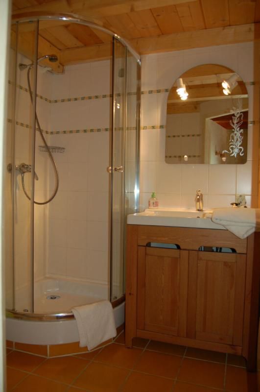 SAINT-JEAN-D'ARVES Maison Saint Jean D Arves 7 pièce(s) 287 m2 4