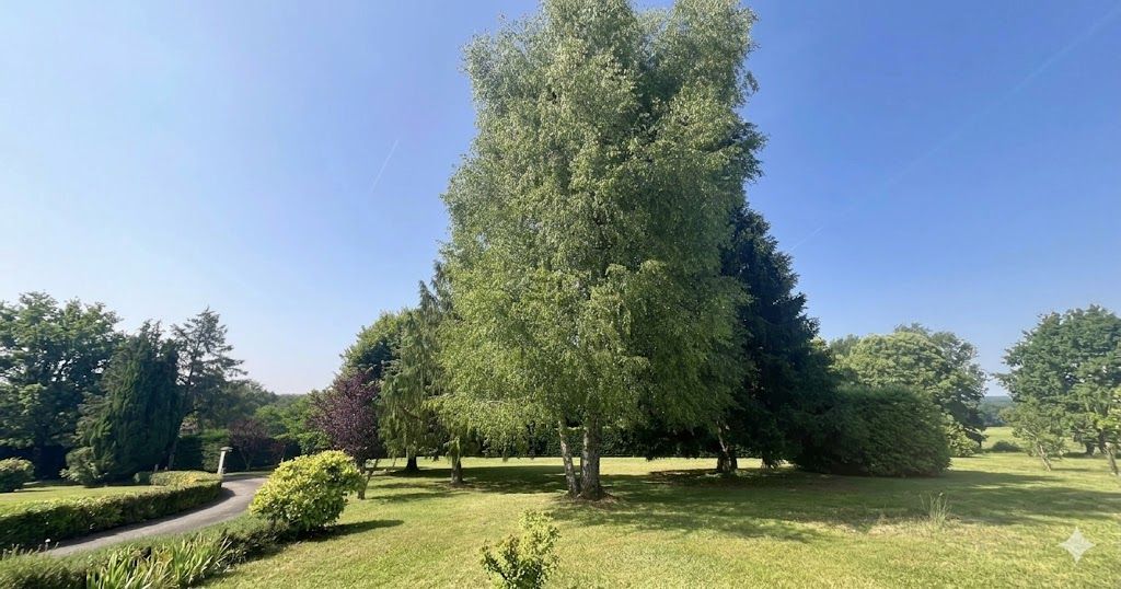 SAINT-MATHIEU Maison contemporaine à Saint Mathieu avec 1,3 ha arboré avec piscine chauffée et pool house 3