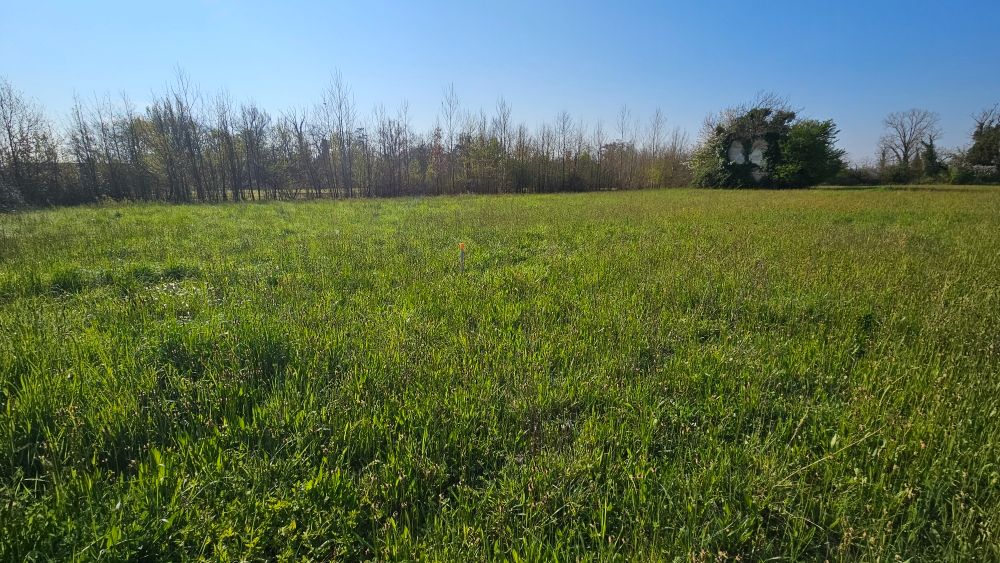 LAFOX 47240 Terrain constructible 982 m2