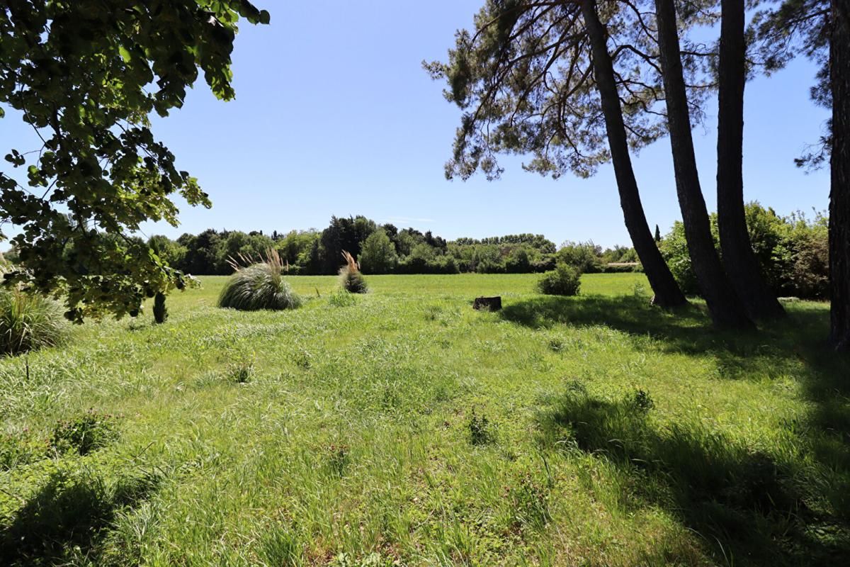 MONTFAVET Maison Montfavet 9 pièce(s) 280 m2 4