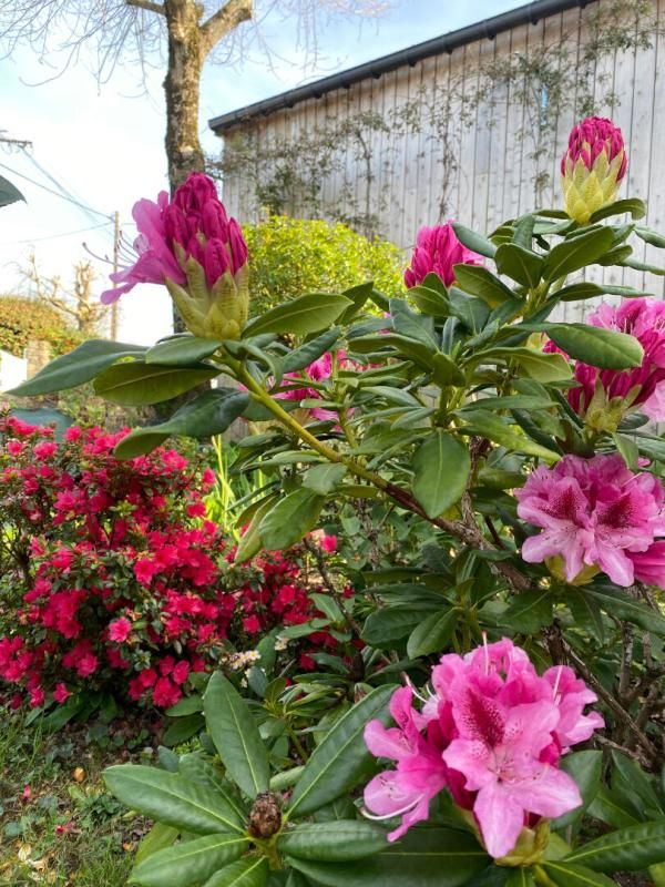 VANNES NOUVEAUTE RARE Maison Vannes 8 pièce(s) 160 m2 1