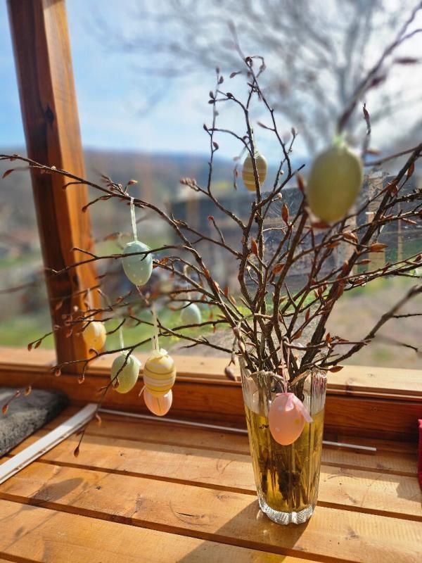 JUSSARUPT Chalet cosy vue imprenable, avec terrain et verger à Jussarupt 3