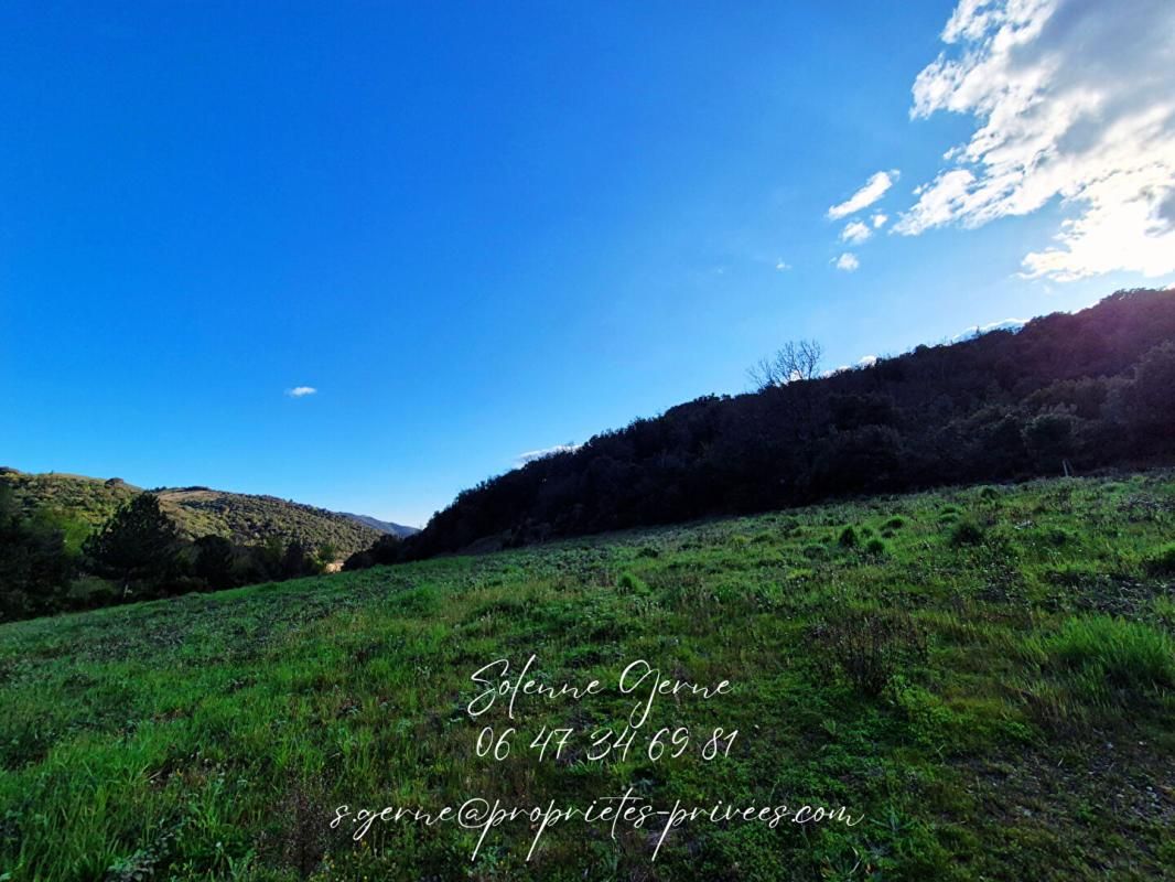 SAINT-NAZAIRE-DE-LADAREZ Terrain  7990 m2 3