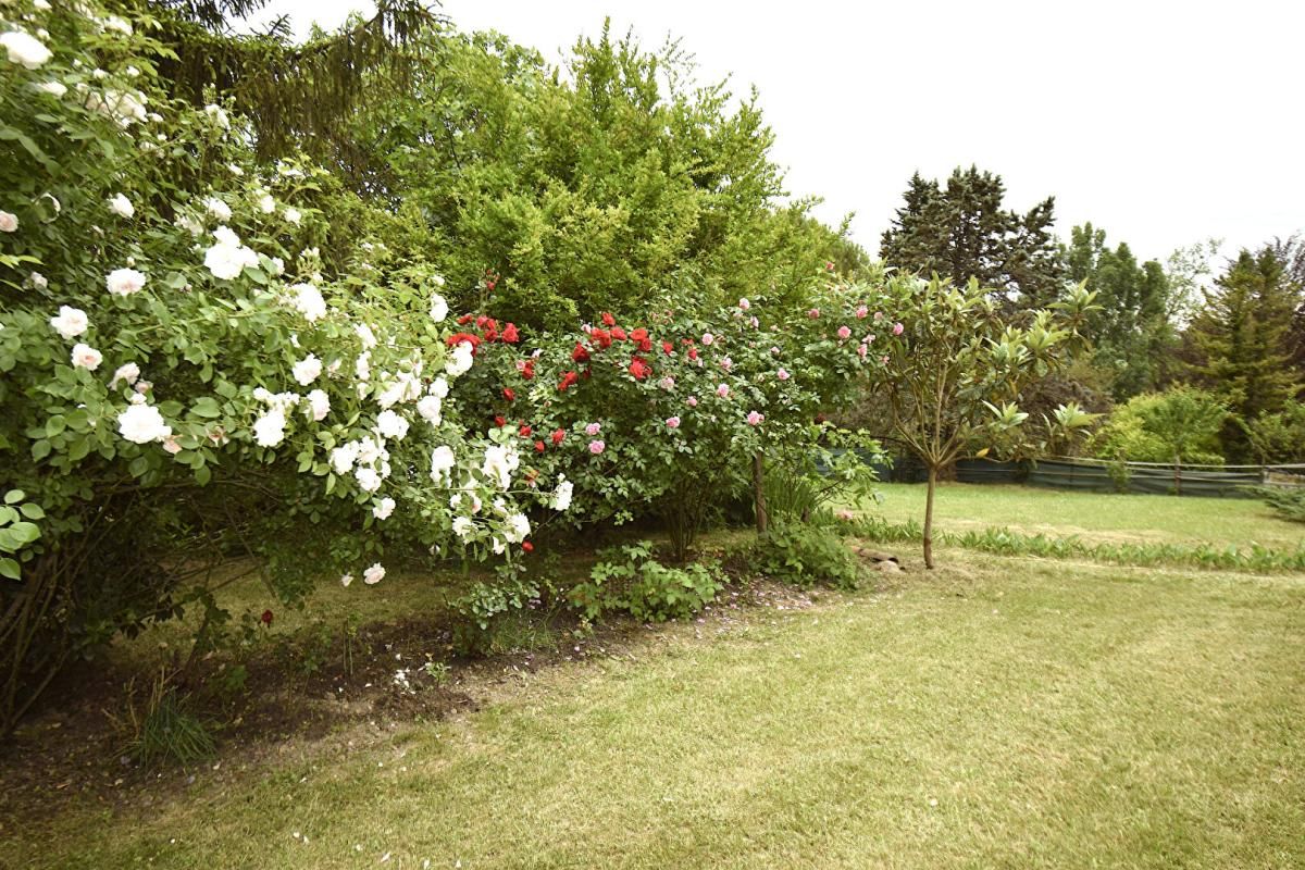 MONTASTRUC 82130, Montastruc, Montauban Nord, Maison plain pied, 160 m², 6 pièces, 3/4 chambres sur 1,5 hA de terrain 2