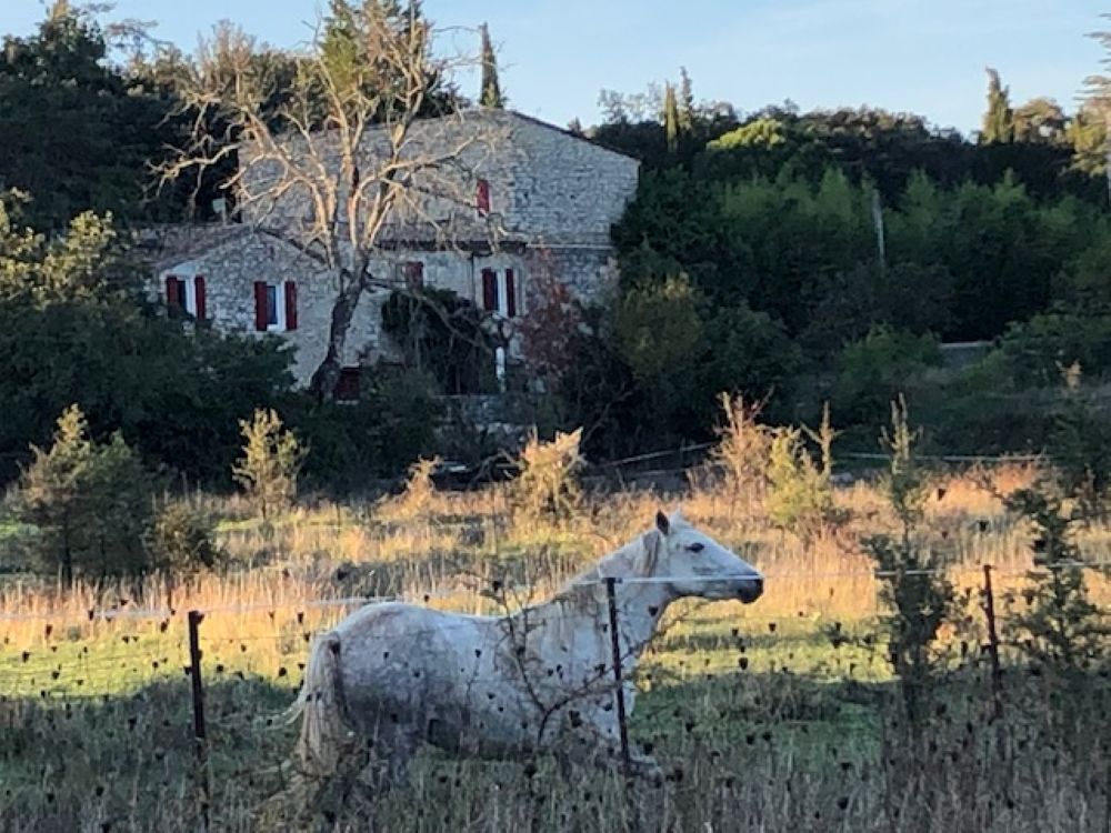 TORNAC Demeure de prestige de plus  20 pièce(s) 750 m2 sur environ 7 Hectares 2
